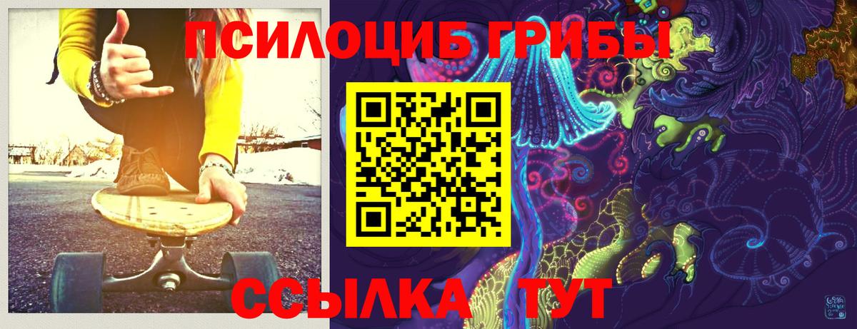 Галлюциногенные грибы прущие грибы  Вход с VPN  Трёхгорный 